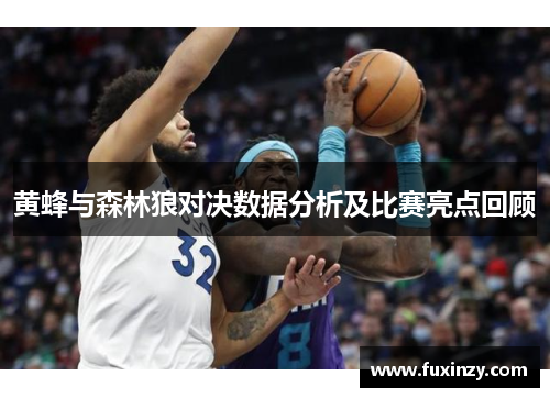 黄蜂与森林狼对决数据分析及比赛亮点回顾