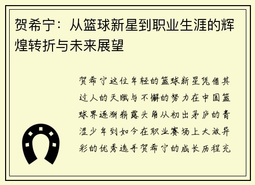 贺希宁：从篮球新星到职业生涯的辉煌转折与未来展望