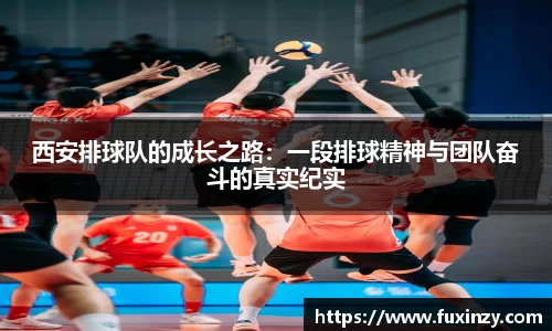 zoty中欧西安排球队的成长之路：一段排球精神与团队奋斗的真实纪实